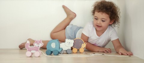 Viga 44002 PolarB Lisek Leszek do ciągniecia