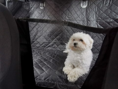 Mata dla psa do samochodu na siedzenie wodoodporna czarna