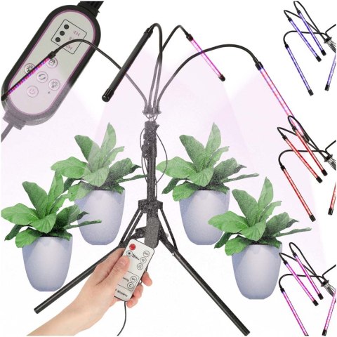 Lampa do roślin LED uprawy wzrostu panel na statywie 4x80LED